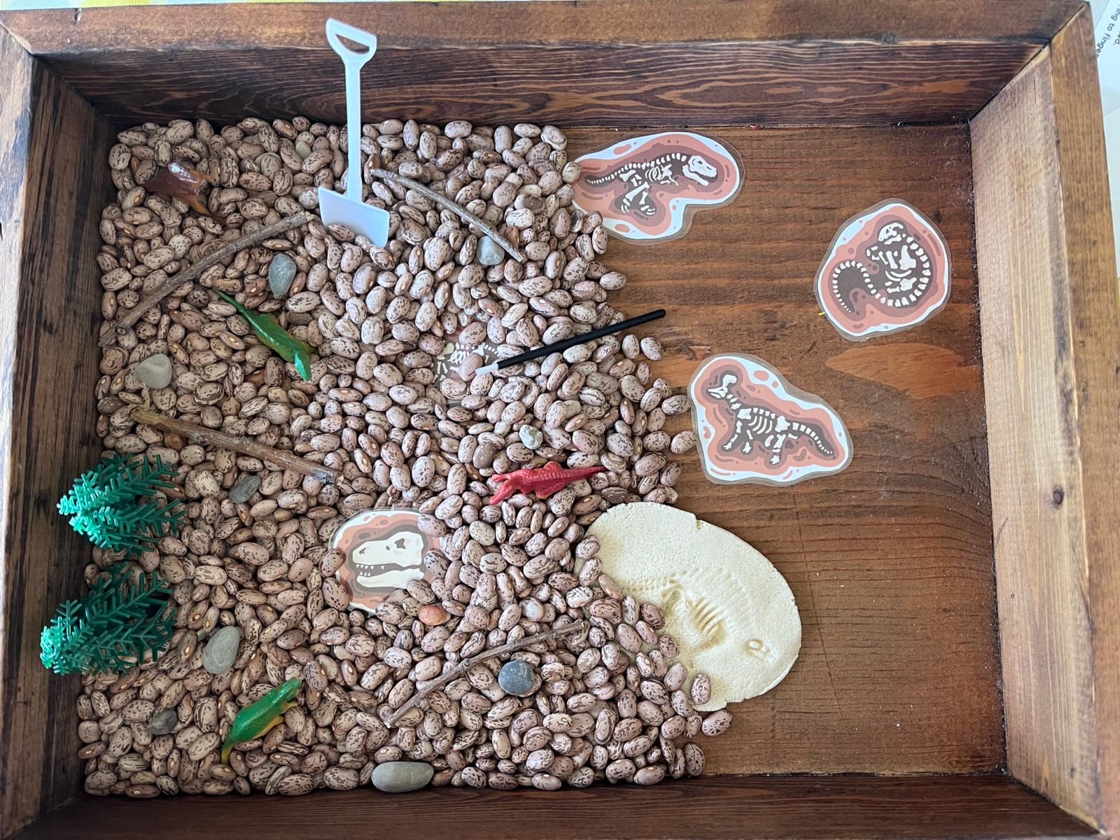 Dino Dig sensory bin